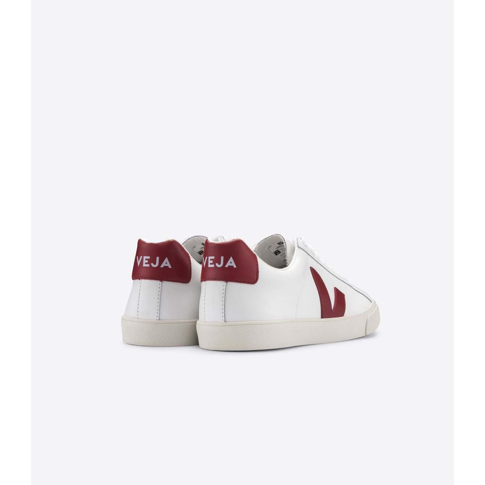 Men's Veja ESPLAR LEATHER Sneakers White/Red | ZA 304XYU